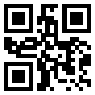 3300970456 - Immagine del QrCode