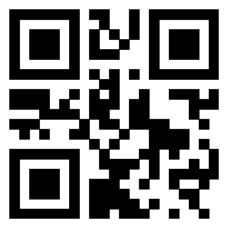 3300970495 - Immagine del Qr Code associato