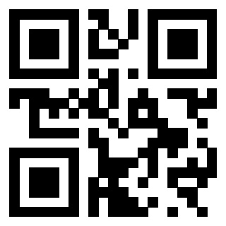 Il Qr Code di 3300970535