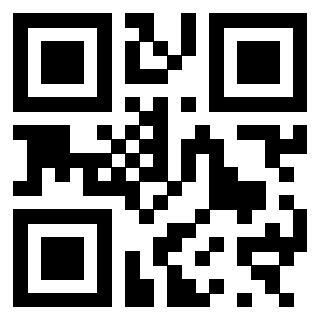3300970560 - Immagine del Qr Code associato