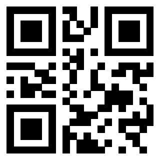 Il Qr Code di 3300970634