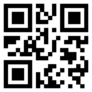 Il Qr Code di 3300970682