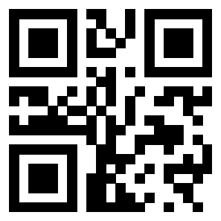 Il Qr Code di 3300970688