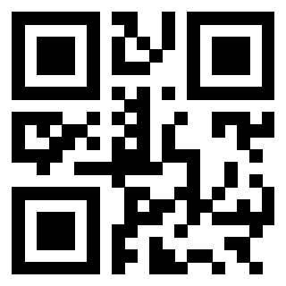 3301006905 - Immagine del Qr Code