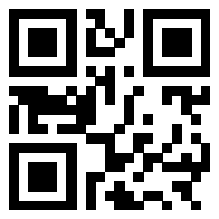 3301006919 - Immagine del Qr Code