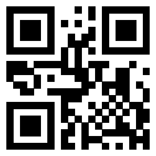 Il Qr Code di 3301102998