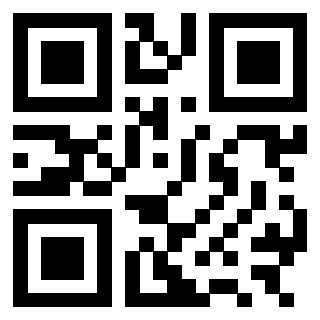 3301103060 Qr Code associato