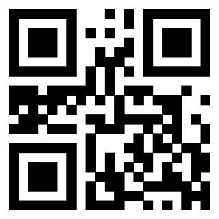 3301175667 - Immagine del QrCode