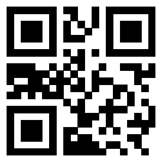 3301176335 - Immagine del QrCode