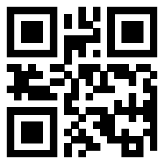 3301181633 - Immagine del QrCode