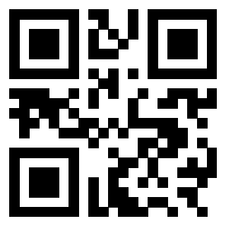 3301181669 - Immagine del Qr Code associato