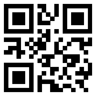 3301182013 - Immagine del QrCode