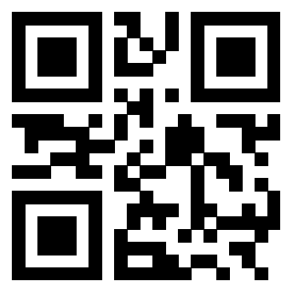 3301236587 - Immagine del QrCode