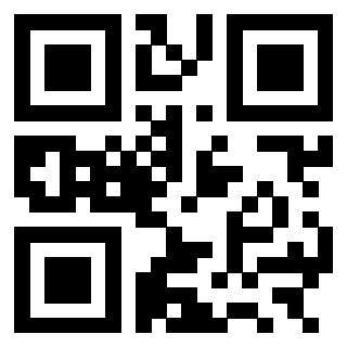 3301275317 - Immagine del QrCode