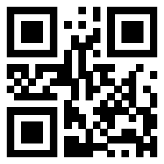 3301275333 - Immagine del Qr Code