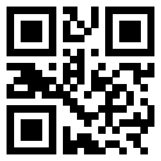3301276095 - Immagine del Qr Code associato