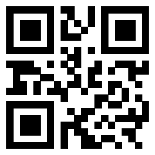 3301276138 - Immagine del QrCode