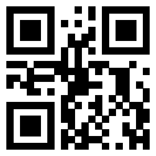 3301603636 - Immagine del QrCode