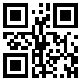 3301608295 - Immagine del Qr Code associato