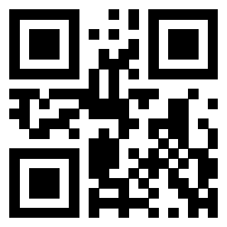 3301902919 - Immagine del Qr Code