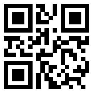 3301936256 Qr Code associato
