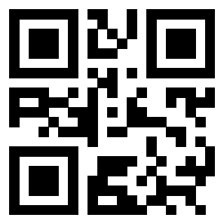 3301938976 - Immagine del QrCode associato
