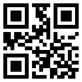 Il Qr Code di 3302000029