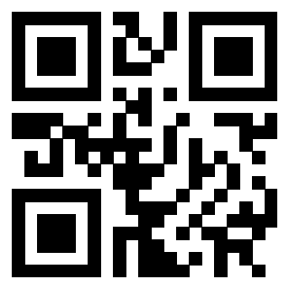 3302000300 - Immagine del Qr Code
