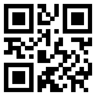 3302000411 - Immagine del Qr Code