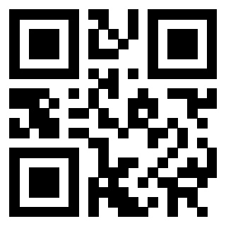 Immagine del Qr Code di 3302000502