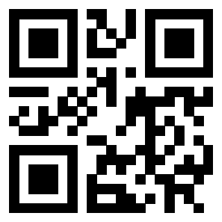 Il Qr Code di 3302000875