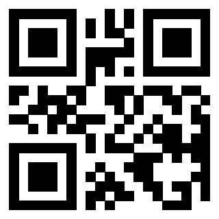 Il Qr Code di 3302000919
