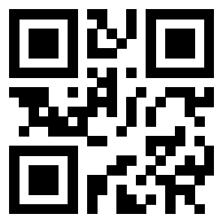 Il Qr Code di 3302019066