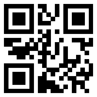 3302019304 - Immagine del QrCode
