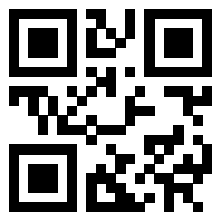 3302019336 - Immagine del QrCode