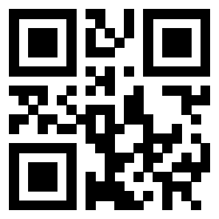 Il Qr Code di 3302019495