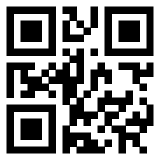 QrCode di 3302019529