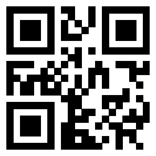 Il Qr Code di 3302019556