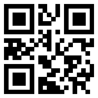 3302020013 - Immagine del QrCode