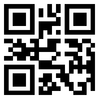 QrCode di 3302028702