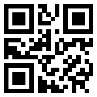 QrCode di 3302028753