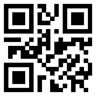 3302028808 - Immagine del QrCode