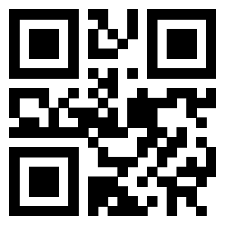 Il Qr Code di 3302028858