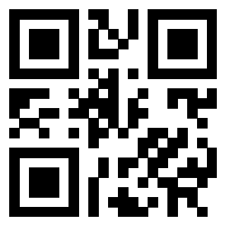 3302028969 - Immagine del QrCode