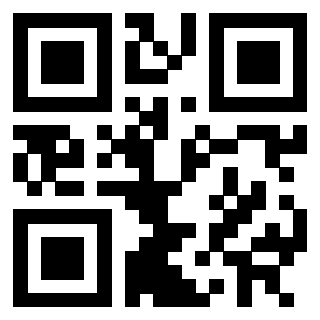 Il Qr Code di 3302029203