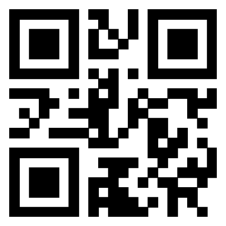 3302029256 Qr Code associato