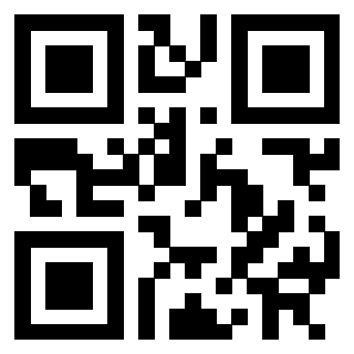 3302029383 Qr Code associato