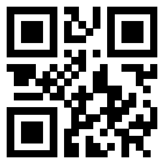 Il Qr Code di 3302029495