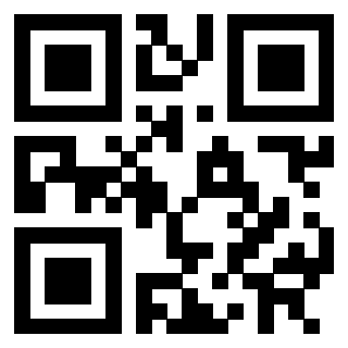 3302029533 Qr Code associato