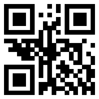 Il Qr Code di 3302048833